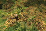 photo thumbnail #11