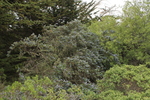 photo thumbnail #12