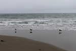 photo thumbnail #15