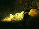 photo thumbnail #13