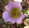 photo thumbnail #14