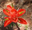 photo thumbnail #15