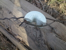 photo thumbnail #9