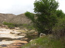 photo thumbnail #10