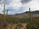 photo thumbnail #11