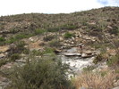 photo thumbnail #12