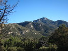 photo thumbnail #8