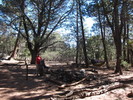 photo thumbnail #10