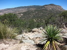 photo thumbnail #15