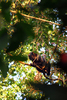 photo thumbnail #14