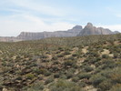 photo thumbnail #15