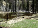 photo thumbnail #3