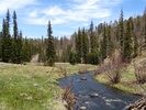 photo thumbnail #9