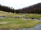 photo thumbnail #15