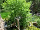 photo thumbnail #15