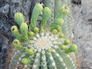 photo thumbnail #2