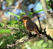 photo thumbnail #5