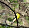photo thumbnail #2