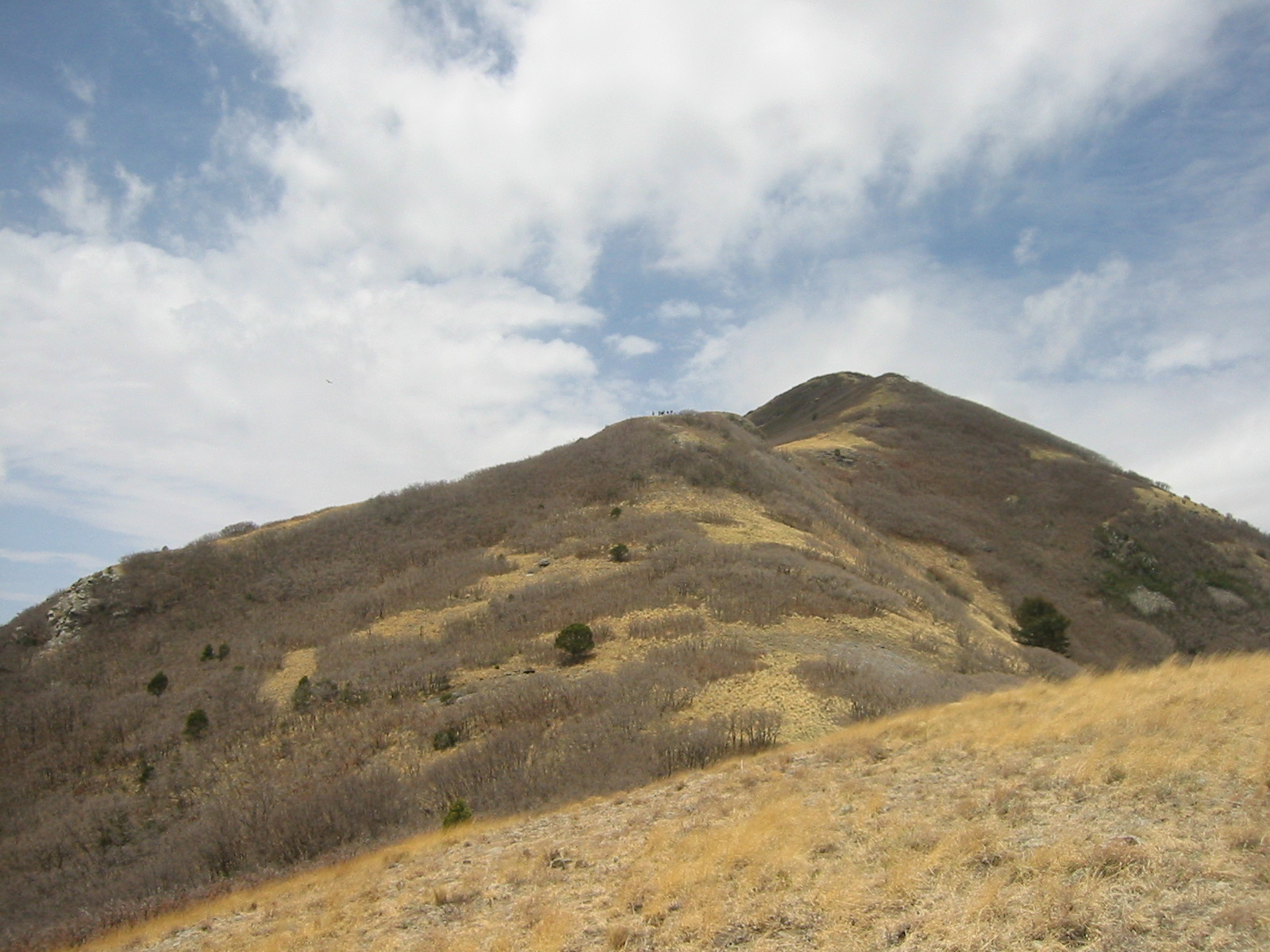 Nogal Peak Trail 26, NM • Hike