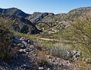 photo thumbnail #15