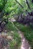 photo thumbnail #9