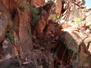 photo thumbnail #5