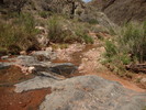 photo thumbnail #9