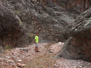 photo thumbnail #12
