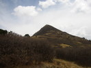 photo thumbnail #11