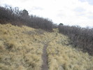 photo thumbnail #13