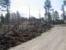 photo thumbnail #10