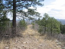 photo thumbnail #14