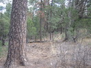 photo thumbnail #15