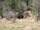 photo thumbnail #11