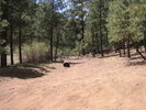 photo thumbnail #15