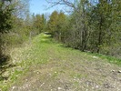 photo thumbnail #11