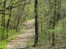photo thumbnail #12