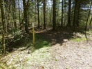 photo thumbnail #13