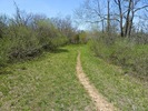 photo thumbnail #15