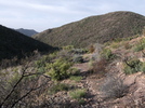 photo thumbnail #3