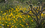 photo thumbnail #14
