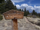 photo thumbnail #15