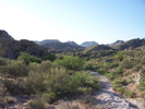 photo thumbnail #3