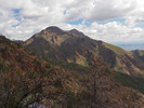 photo thumbnail #1