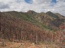 2013-05-08 :1: Sheep Mountain Peak 6996 - Mazatzal :: Oregon_Hiker