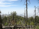 photo thumbnail #3