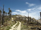 photo thumbnail #5