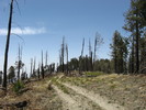 photo thumbnail #6