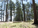 photo thumbnail #9