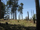photo thumbnail #10